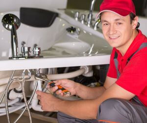 About Plumbers Pros Purdon, TX